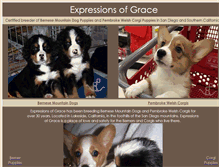 Tablet Screenshot of expressionsofgrace.com